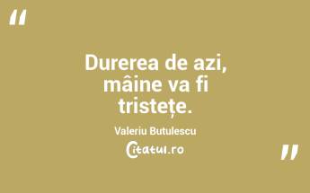 Durerea de azi, mâine va fi tristeţe. Valeriu Butulescu...
