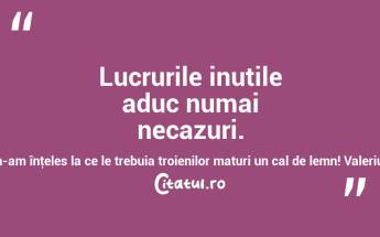 Lucrurile inutile aduc numai necazuri. Niciodată n-am înţeles la ce le trebuia troienilor maturi un cal de lemn! Valeriu Butulescu...