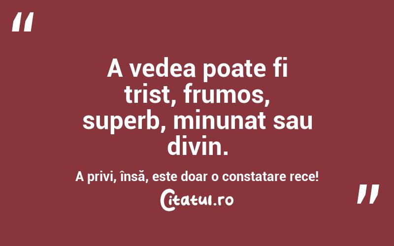 A vedea poate fi trist, frumos, superb, minunat sau divin. A privi, însă, este doar o constatare rece!  