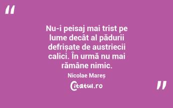 Nu-i peisaj mai trist pe lume decât al pădurii defrișate de austriecii calici. În urmă nu mai rămâne nimic. Nicolae Mareș...