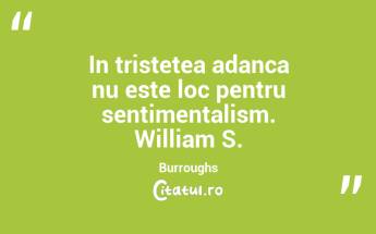 In tristetea adanca nu este loc pentru sentimentalism. William S. Burroughs...