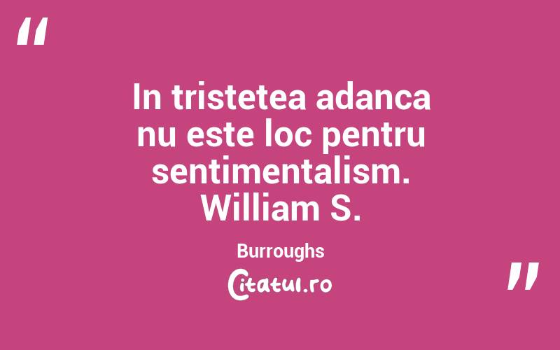 In tristetea adanca nu este loc pentru sentimentalism. William S. Burroughs
