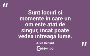 Sunt locuri si momente in care un om este atat de singur, incat poate vedea intreaga lume. Jules Renard...