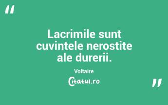 Lacrimile sunt cuvintele nerostite ale durerii. Voltaire...