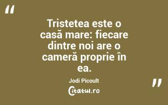 Tristețea este o casă mare: fiecare dintre noi are o cameră proprie în ea. Jodi Picoult...