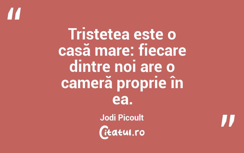 Tristețea este o casă mare: fiecare dintre noi are o cameră proprie în ea. Jodi Picoult
