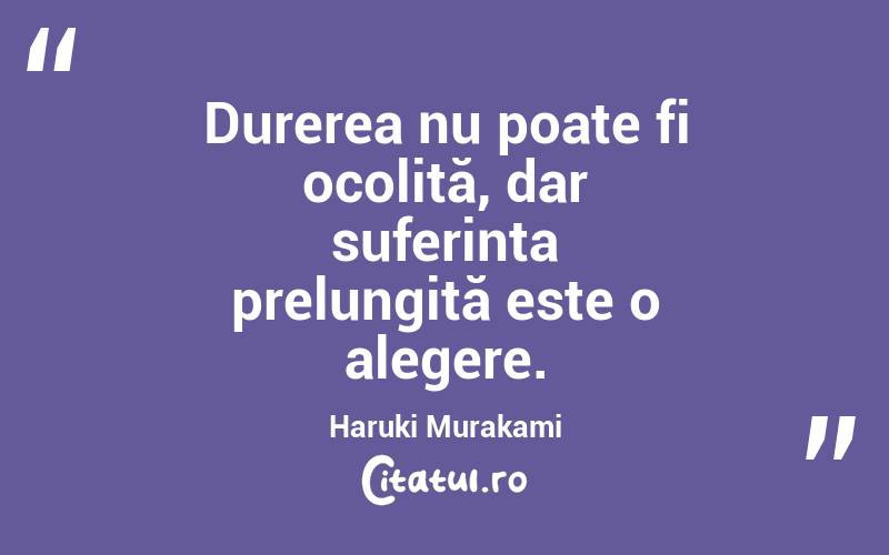 Durerea nu poate fi ocolită, dar suferința prelungită este o alegere. Haruki Murakami
