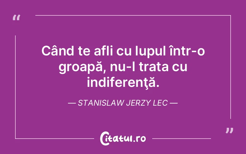 Citat Stanislaw Jerzy Lec - citate viata