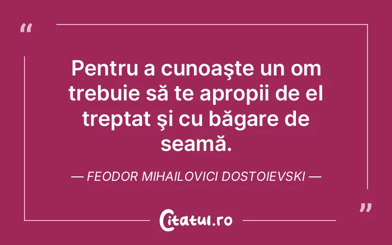 Citat Feodor Mihailovici Dostoievski - citate viata