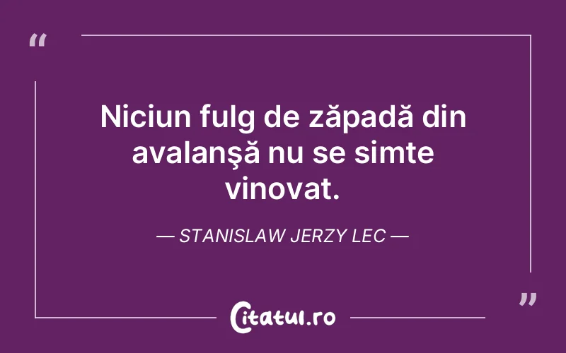 Citat Stanislaw Jerzy Lec - citate viata