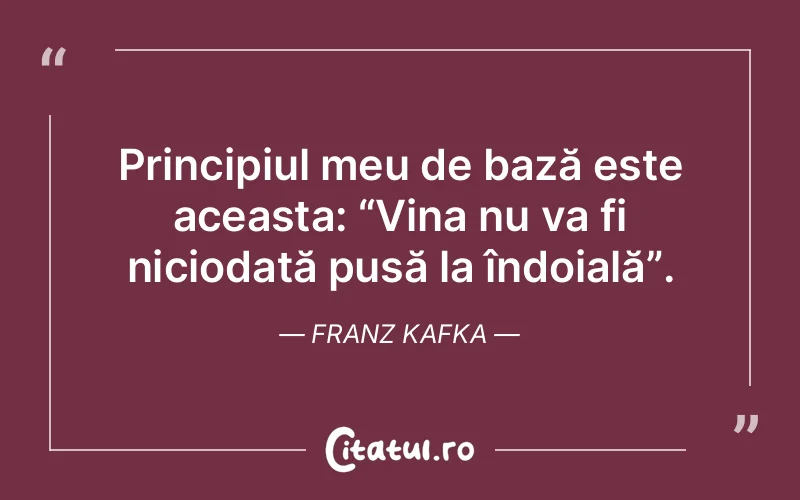 Citat Franz Kafka - citate viata