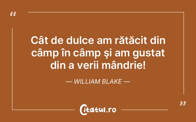 Citat William Blake - citate viata