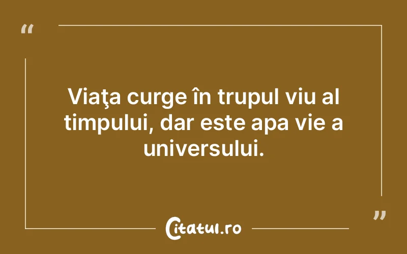 Citat Autor necunoscut - citate viata