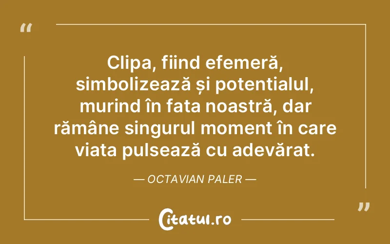 Citat Octavian Paler - citate viata