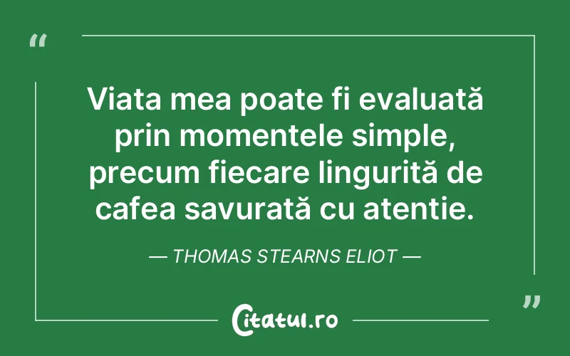 Citat Thomas Stearns Eliot - citate viata