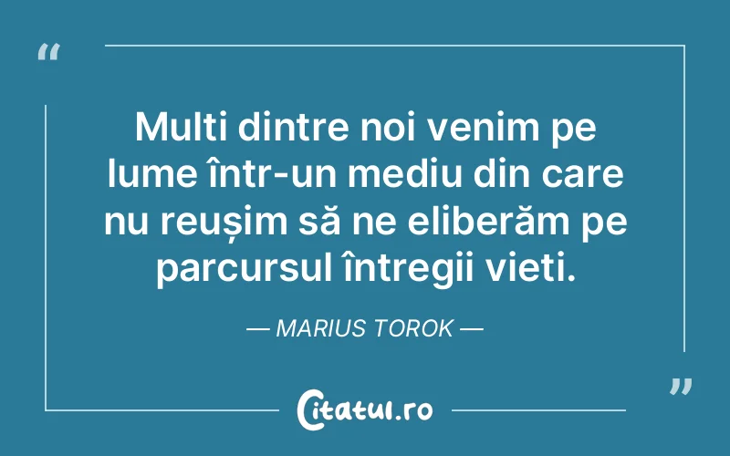 Citat Marius Torok - citate viata