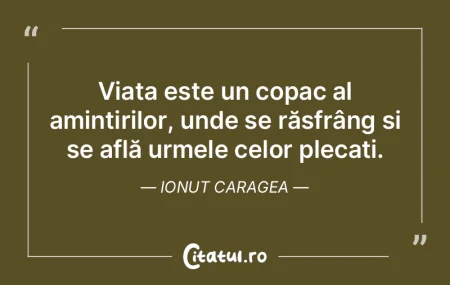 Existența este frumoasă și sfârșitu... Existența este frumoasă și sfârșitu...