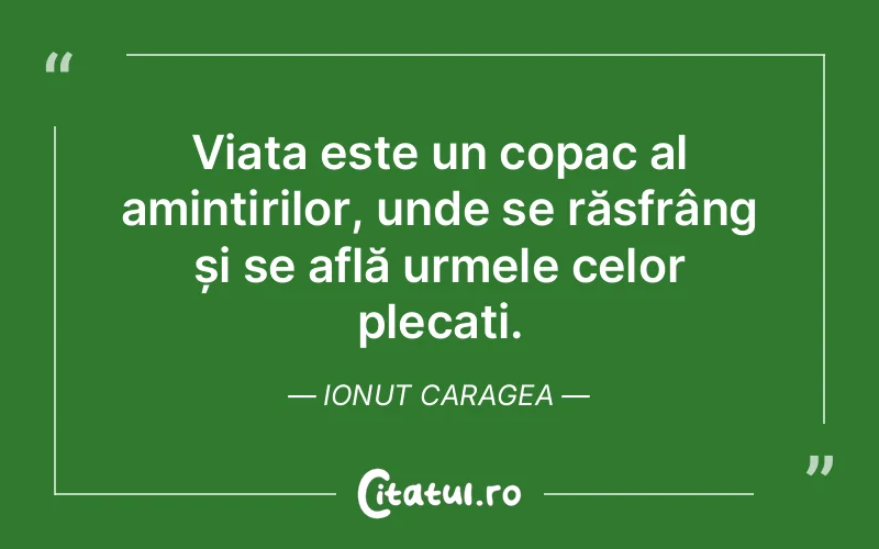 Citat Ionut Caragea - citate viata