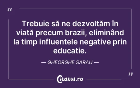 Fiecare geniu poartă o fărâmă de neb... Fiecare geniu poartă o fărâmă de neb...