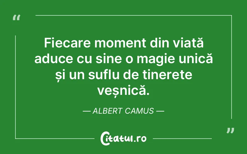 Citat Albert Camus - citate viata