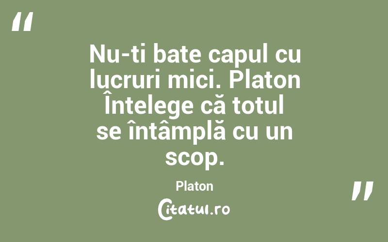 Nu-ți bate capul cu lucruri mici. Platon Înțelege că totul se întâmplă cu un scop. Platon
