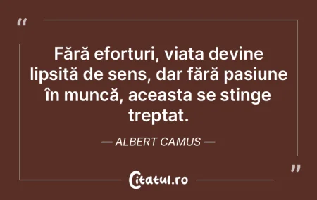 Viața nu are un sens intrinsec, dar fie...