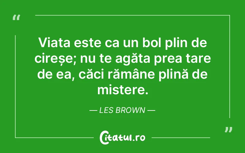 Citat Les Brown - citate viata