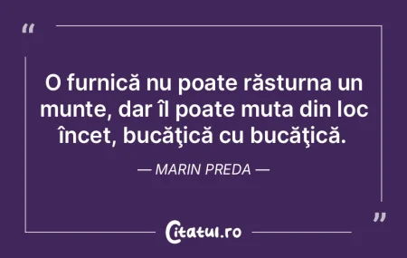 Viața ne învață că încrederea în ... Viața ne învață că încrederea în ...