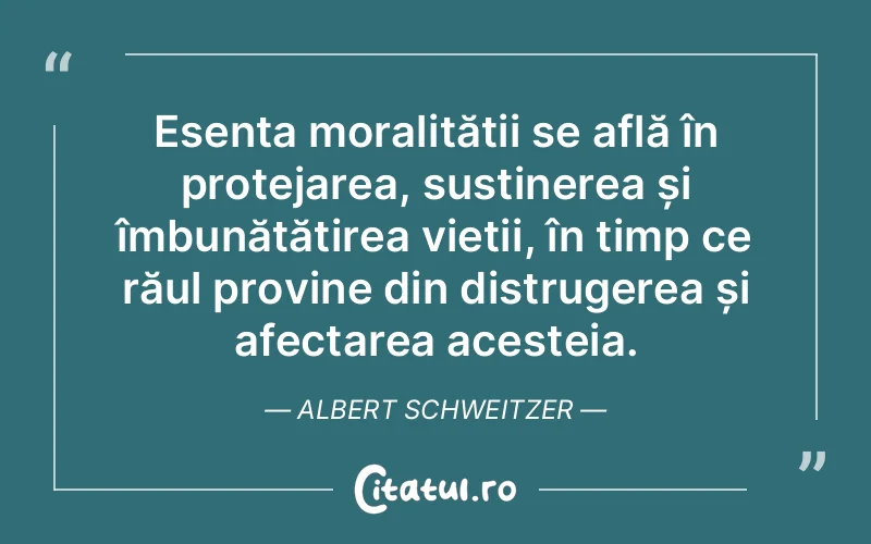 Citat Albert Schweitzer - citate viata