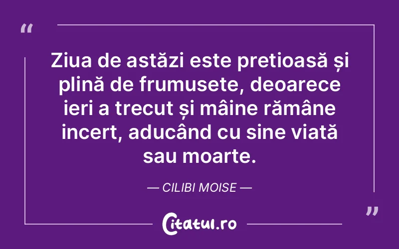 Citat Cilibi Moise - citate viata