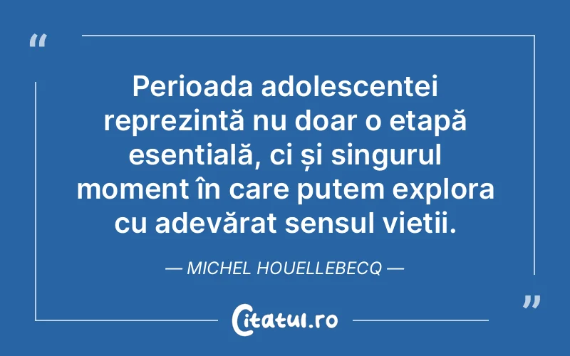 Citat Michel Houellebecq - citate viata