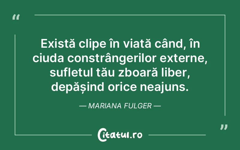 Citat Mariana Fulger - citate viata