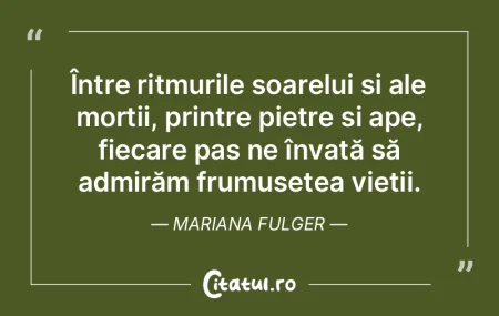 Pentru cel pasionat de cuvânt, a explor... Pentru cel pasionat de cuvânt, a explor...