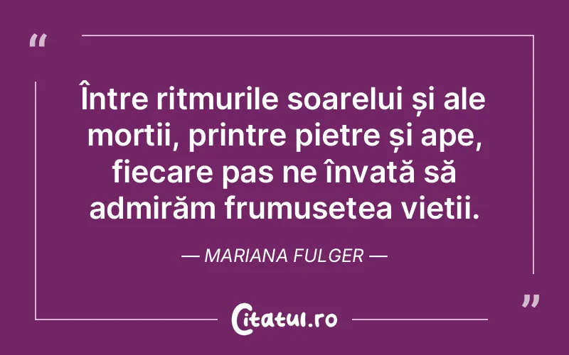 Citat Mariana Fulger - citate viata