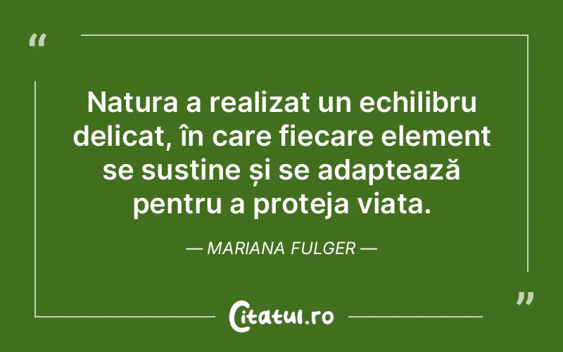 Citat Mariana Fulger - citate viata