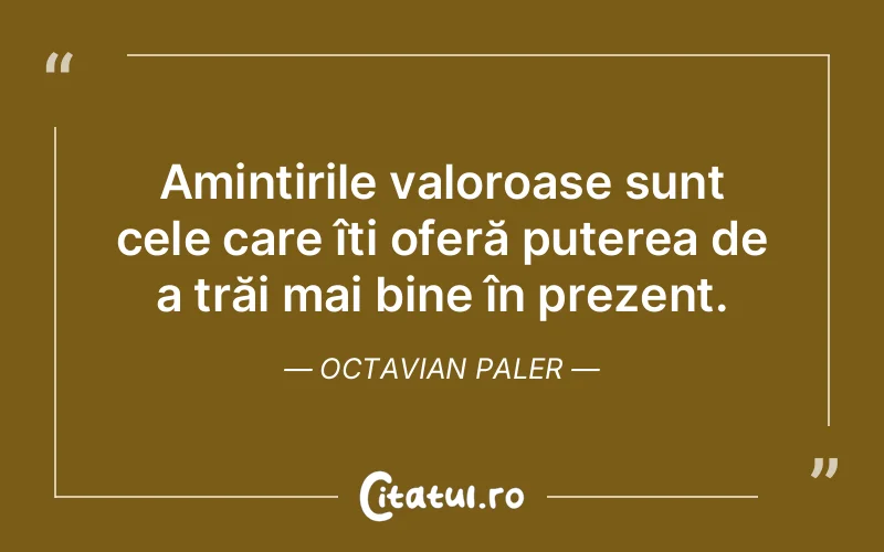 Citat Octavian Paler - citate viata