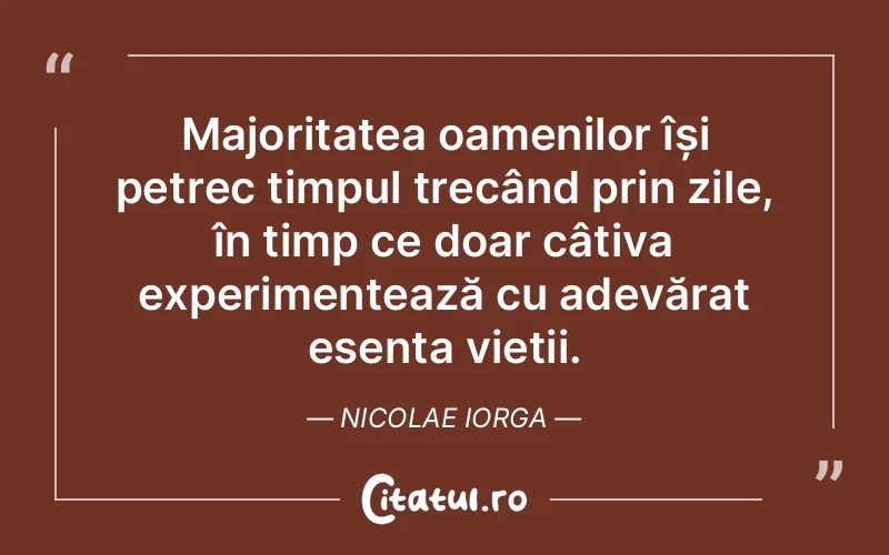 Citat Nicolae Iorga - citate viata