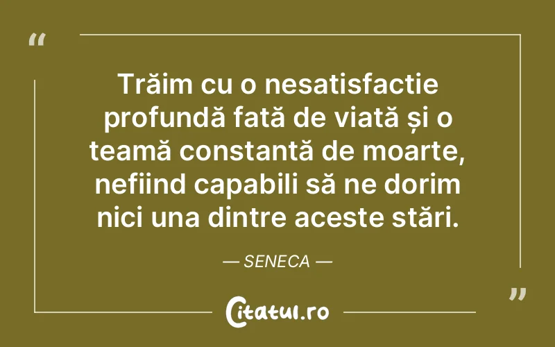 Citat Seneca - citate viata