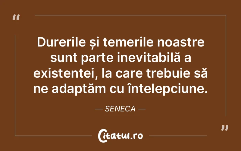 Citat Seneca - citate viata