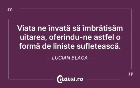 Nu am lăsat nimic netransmis în gându... Nu am lăsat nimic netransmis în gându...