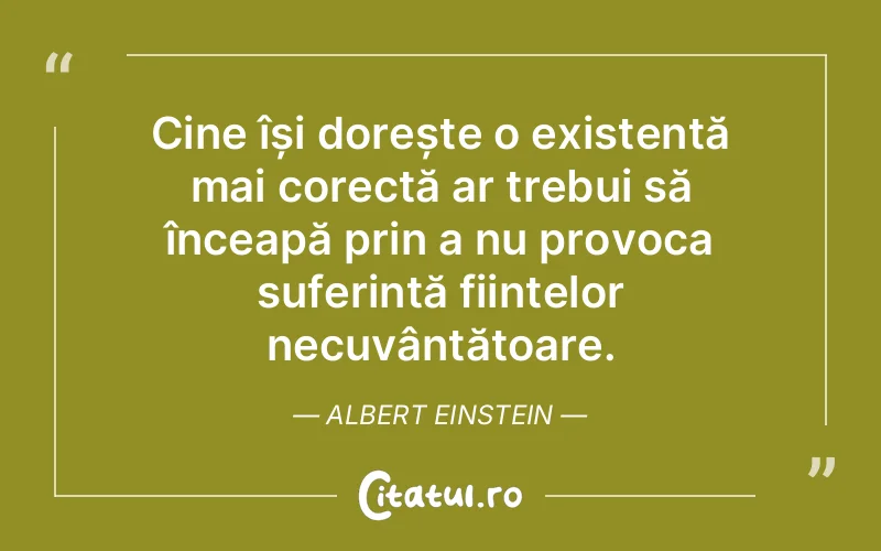 Citat Albert Einstein - citate viata