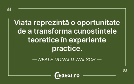 Alcoolul ne servește ca un fel de anest... Alcoolul ne servește ca un fel de anest...