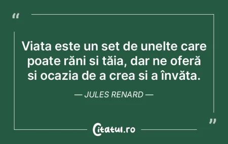 A trăi și a reflecta asupra propriei v... A trăi și a reflecta asupra propriei v...