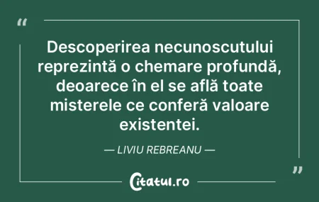 O existență haotică și lipsită de m... O existență haotică și lipsită de m...