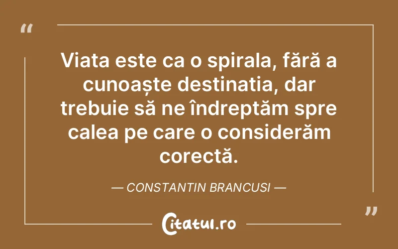 Citat Constantin Brancusi - citate viata