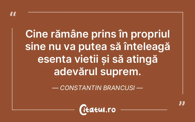 Citat Constantin Brancusi - citate viata