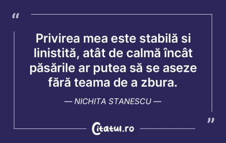 Viața reflectă adesea ceea ce alegem s... Viața reflectă adesea ceea ce alegem s...