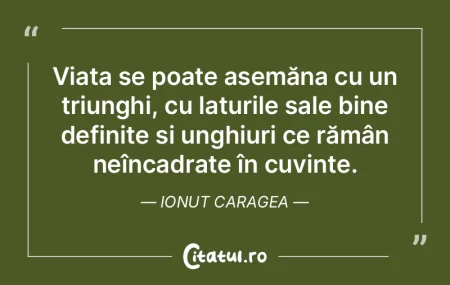 Viața poate fi văzută ca un joc impre...