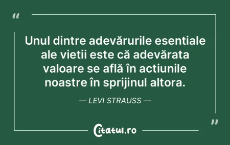 Viața noastră este un amalgam vibrant ... Viața noastră este un amalgam vibrant ...
