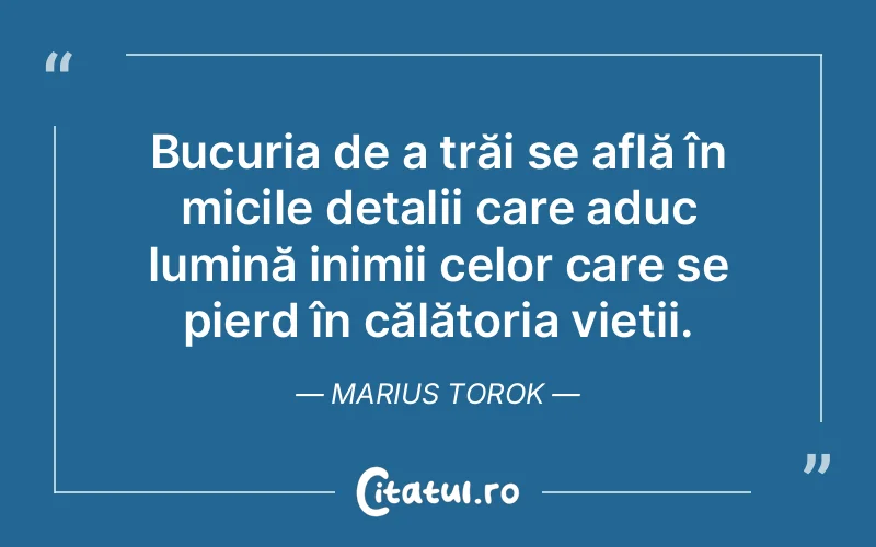 Citat Marius Torok - citate viata